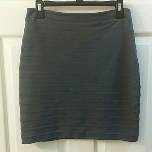 Express Pencil Skirt